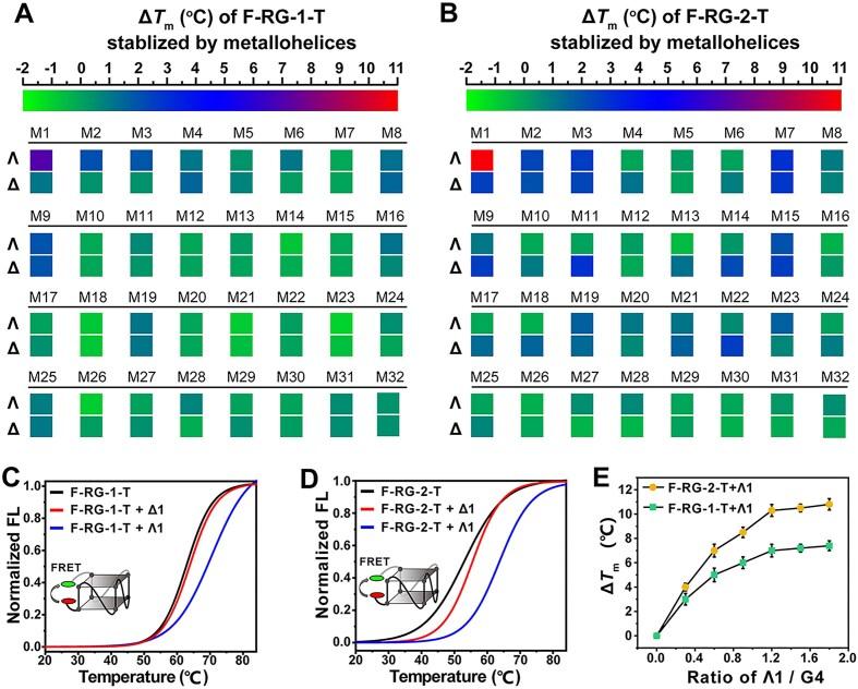 https://cdn.ncbi.nlm.nih.gov/pmc/blobs/add3/12125542/340118399f96/gkaf199fig1.jpg