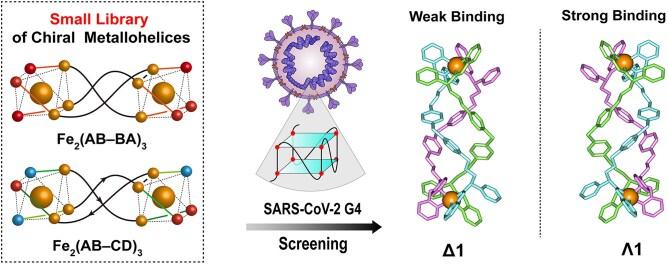 https://cdn.ncbi.nlm.nih.gov/pmc/blobs/add3/12125542/cadeeab2a9c5/gkaf199figgra1.jpg