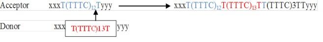 https://cdn.ncbi.nlm.nih.gov/pmc/blobs/add3/6995335/7c3c04efc8d0/mbrc-8-159-g002.jpg