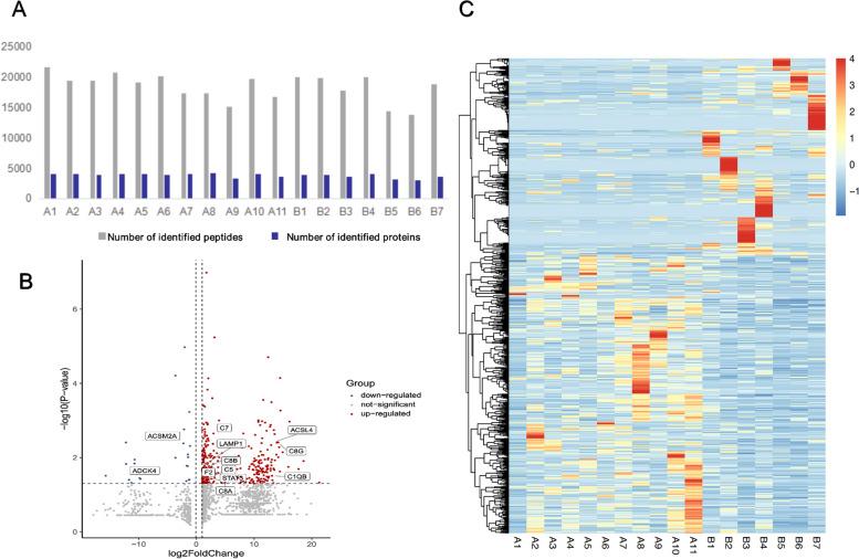 https://cdn.ncbi.nlm.nih.gov/pmc/blobs/add3/9743561/399bfe2c7a42/12887_2022_3764_Fig2_HTML.jpg