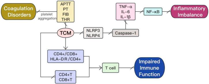 https://cdn.ncbi.nlm.nih.gov/pmc/blobs/add5/11251979/c636d59af507/fphar-15-1365639-g001.jpg