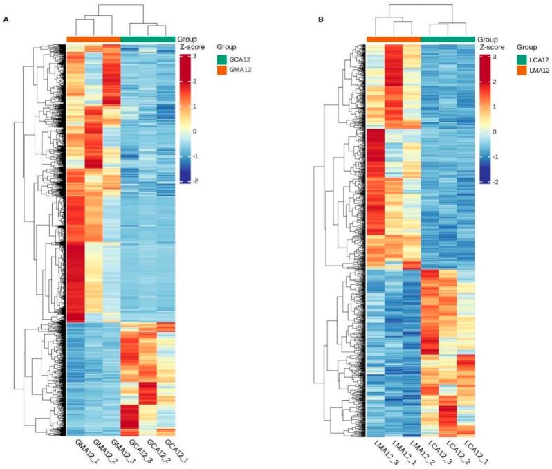 https://cdn.ncbi.nlm.nih.gov/pmc/blobs/add6/12194923/0dfc286db715/metabolites-15-00349-g002.jpg