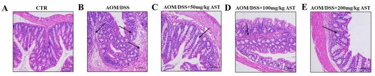 https://cdn.ncbi.nlm.nih.gov/pmc/blobs/add8/11509176/1fa014e99c7b/marinedrugs-22-00469-g004.jpg