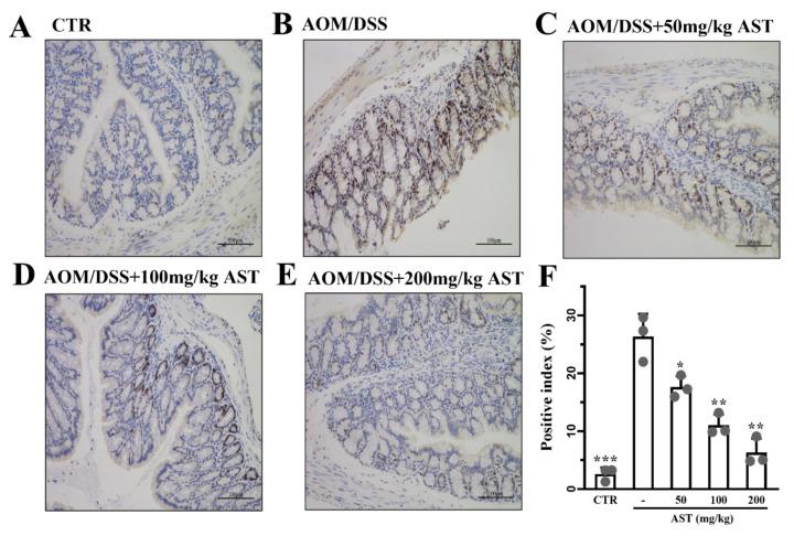 https://cdn.ncbi.nlm.nih.gov/pmc/blobs/add8/11509176/533ce05d86ad/marinedrugs-22-00469-g005.jpg