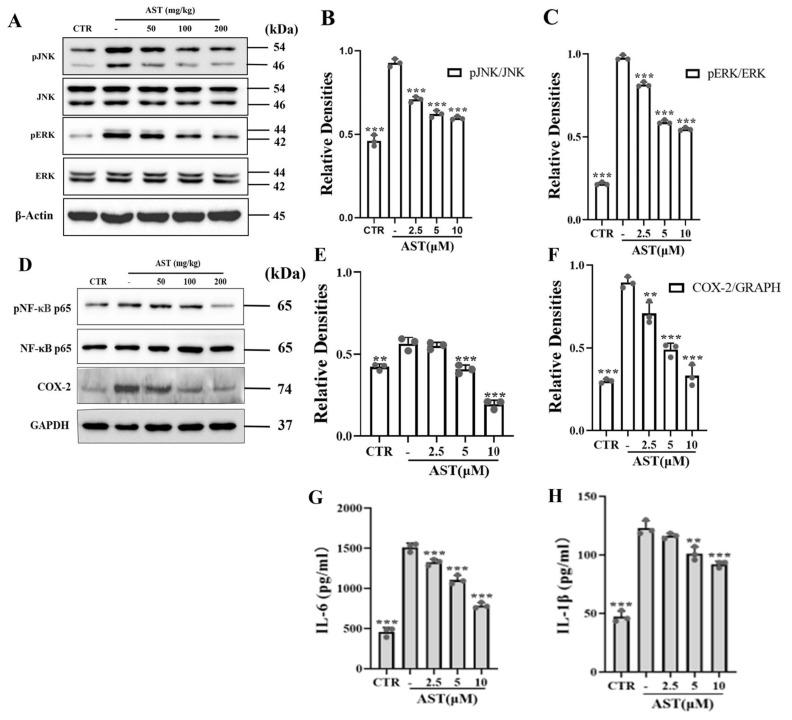 https://cdn.ncbi.nlm.nih.gov/pmc/blobs/add8/11509176/94e274a9debd/marinedrugs-22-00469-g002.jpg