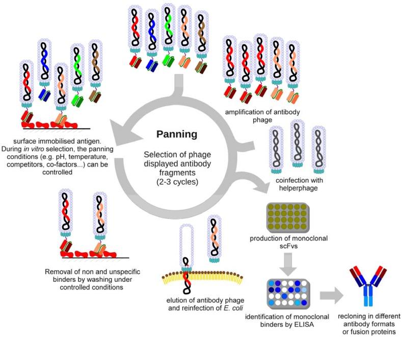 https://cdn.ncbi.nlm.nih.gov/pmc/blobs/addb/6259421/221d941a0edb/molecules-16-00412-g001.jpg