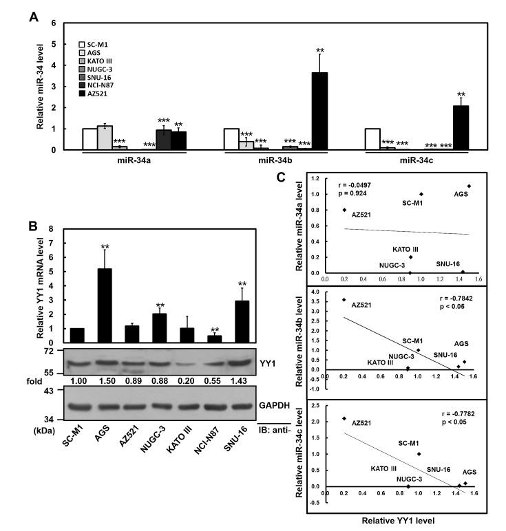 https://cdn.ncbi.nlm.nih.gov/pmc/blobs/addc/4148117/14e6f1e53580/oncotarget-05-5002-g003.jpg