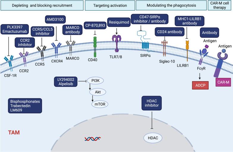 https://cdn.ncbi.nlm.nih.gov/pmc/blobs/addc/9118588/87714e3da433/13045_2022_1282_Fig3_HTML.jpg