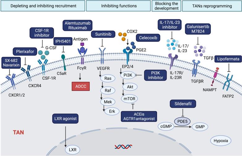 https://cdn.ncbi.nlm.nih.gov/pmc/blobs/addc/9118588/a5c206874f8c/13045_2022_1282_Fig4_HTML.jpg
