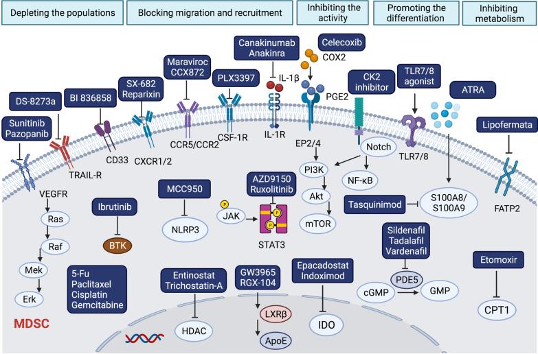 https://cdn.ncbi.nlm.nih.gov/pmc/blobs/addc/9118588/f5f859b372c3/13045_2022_1282_Fig2_HTML.jpg