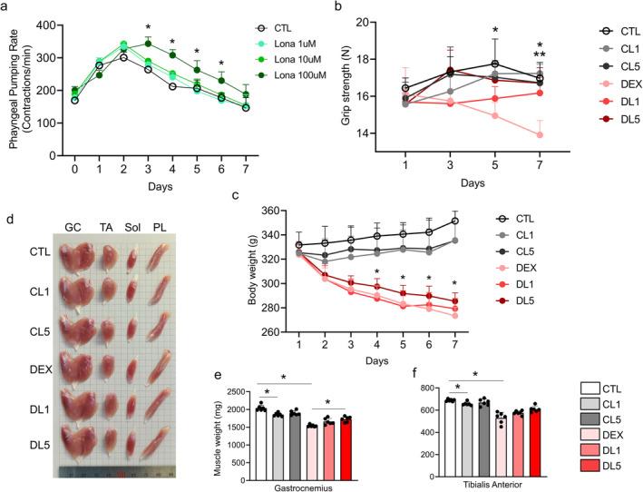 https://cdn.ncbi.nlm.nih.gov/pmc/blobs/ade2/11696026/753df3250f1e/JCSM-16-e13665-g007.jpg