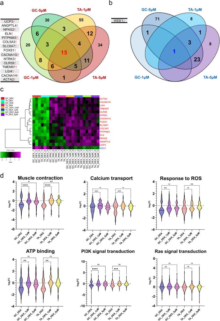 https://cdn.ncbi.nlm.nih.gov/pmc/blobs/ade2/11696026/8dacc1fbefaa/JCSM-16-e13665-g003.jpg