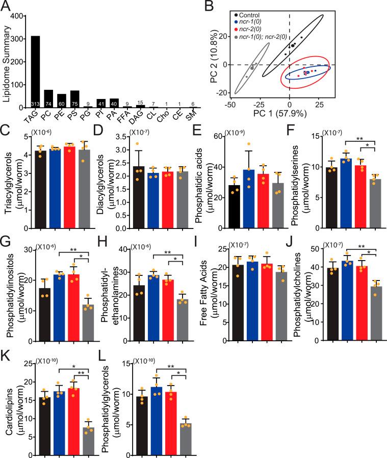 https://cdn.ncbi.nlm.nih.gov/pmc/blobs/ade3/11291935/0b067b328d1a/LSA-2024-02584_FigS3.jpg