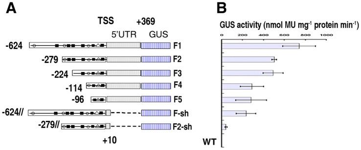 https://cdn.ncbi.nlm.nih.gov/pmc/blobs/ade3/3612094/dd613c433e0e/pone.0059802.g004.jpg