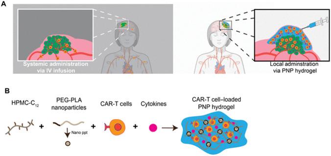 https://cdn.ncbi.nlm.nih.gov/pmc/blobs/ade9/10746770/36684f485252/13346_2023_1405_Fig5_HTML.jpg