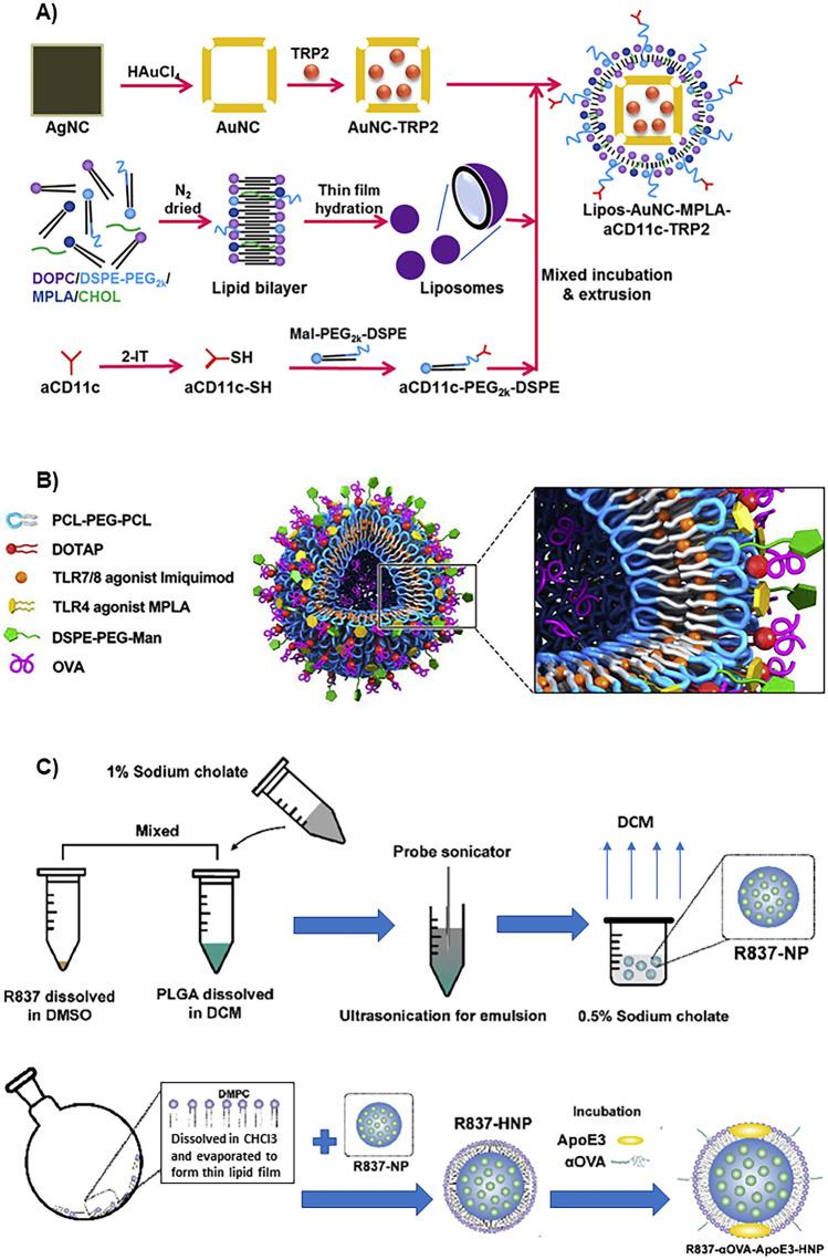 https://cdn.ncbi.nlm.nih.gov/pmc/blobs/ade9/10746770/ea1fac41cabb/13346_2023_1405_Fig3_HTML.jpg