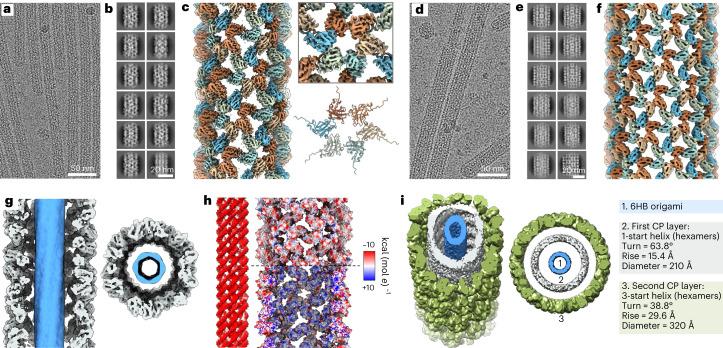 https://cdn.ncbi.nlm.nih.gov/pmc/blobs/adea/10575778/b73a13f837b7/41565_2023_1443_Fig2_HTML.jpg