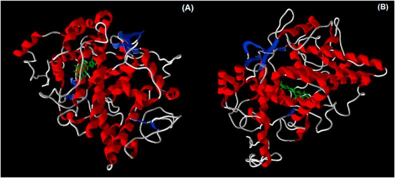 https://cdn.ncbi.nlm.nih.gov/pmc/blobs/adea/7695913/940f7c531aab/gr9.jpg