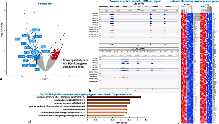 https://cdn.ncbi.nlm.nih.gov/pmc/blobs/adeb/10764091/2dffb1bb7174/jin-2024-0016-0001-535302_F04.jpg