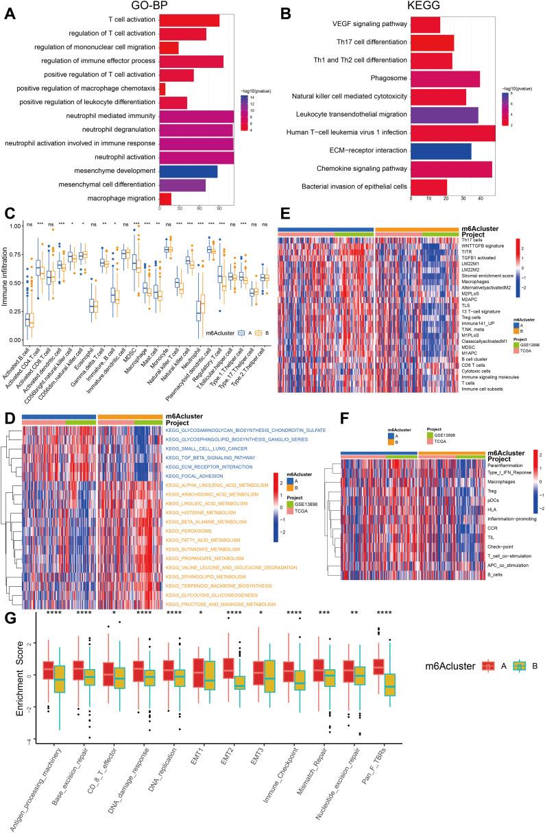 https://cdn.ncbi.nlm.nih.gov/pmc/blobs/adeb/12277809/826d54f2940e/fimmu-16-1572810-g004.jpg