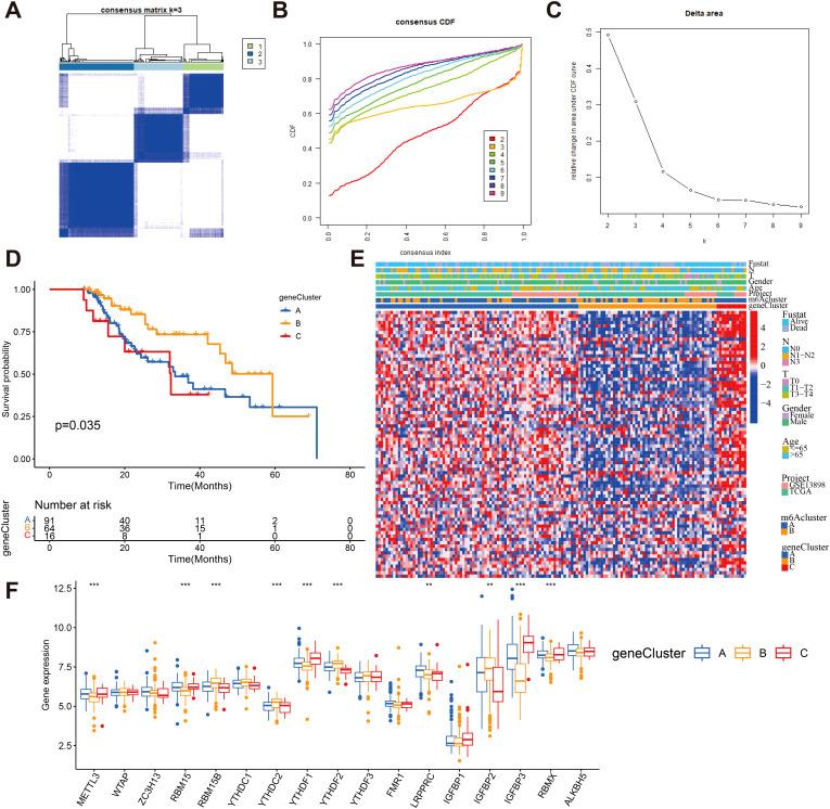 https://cdn.ncbi.nlm.nih.gov/pmc/blobs/adeb/12277809/c52fc4dd52ea/fimmu-16-1572810-g006.jpg