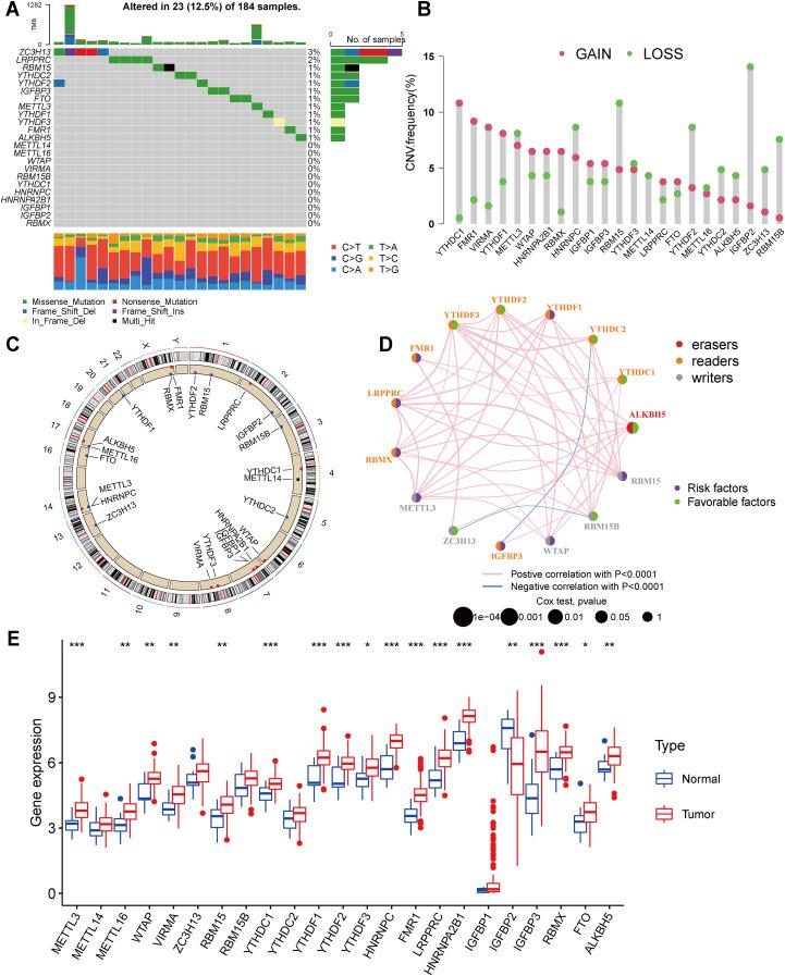 https://cdn.ncbi.nlm.nih.gov/pmc/blobs/adeb/12277809/c626ef37fd15/fimmu-16-1572810-g001.jpg