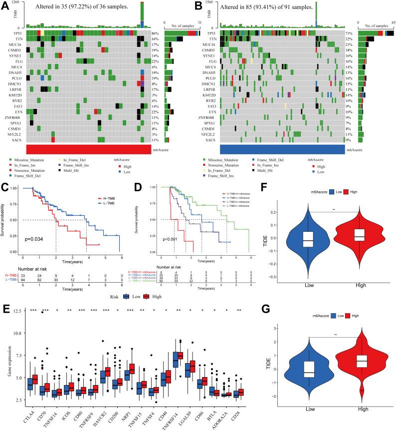 https://cdn.ncbi.nlm.nih.gov/pmc/blobs/adeb/12277809/f48cf67fd661/fimmu-16-1572810-g008.jpg