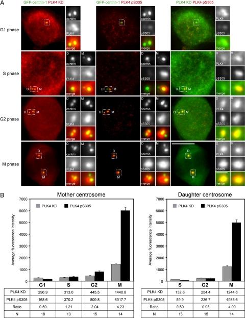 https://cdn.ncbi.nlm.nih.gov/pmc/blobs/adeb/2820420/c0feba9fb842/zmk0041093520004.jpg
