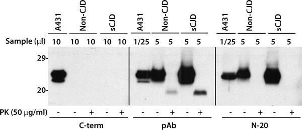 https://cdn.ncbi.nlm.nih.gov/pmc/blobs/adf1/5589549/dce9f079e566/oncotarget-08-53888-g006.jpg