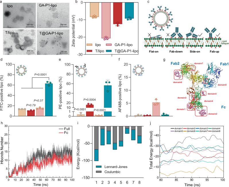 https://cdn.ncbi.nlm.nih.gov/pmc/blobs/adf4/12378351/3e183292f2b9/41467_2025_63198_Fig4_HTML.jpg