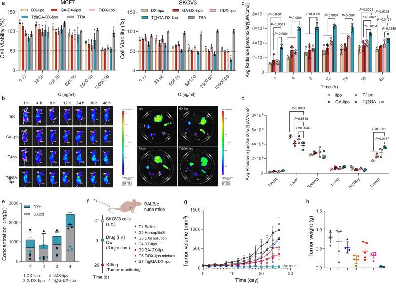 https://cdn.ncbi.nlm.nih.gov/pmc/blobs/adf4/12378351/4d5b114042a2/41467_2025_63198_Fig6_HTML.jpg