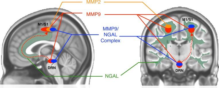 https://cdn.ncbi.nlm.nih.gov/pmc/blobs/adf6/6281196/6633a13c2c50/pone.0206807.g006.jpg