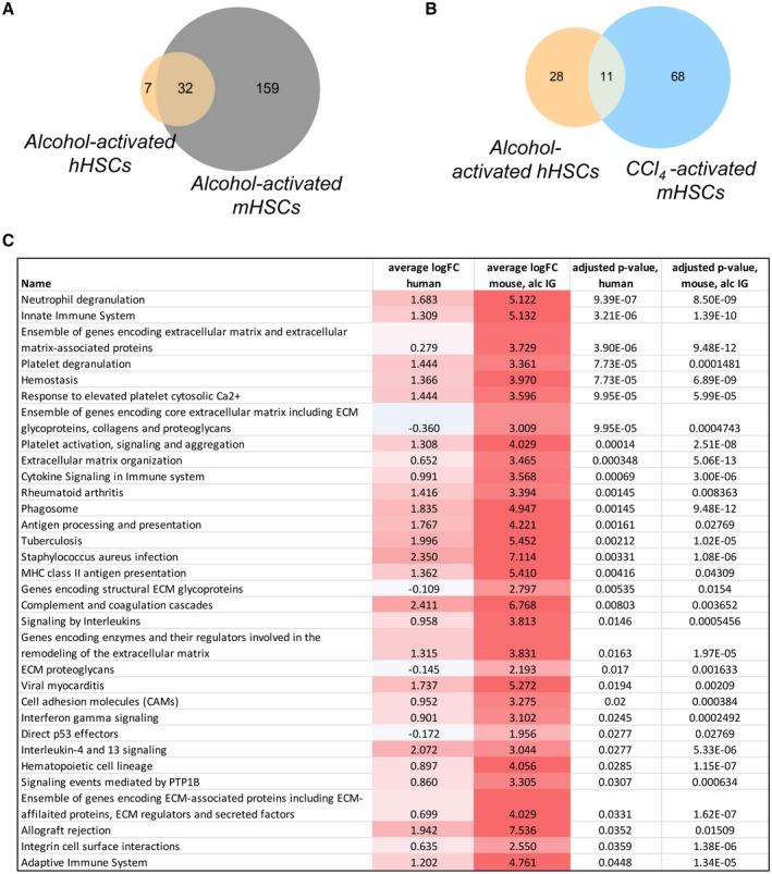 https://cdn.ncbi.nlm.nih.gov/pmc/blobs/adf6/7109347/8ee6334d561f/HEP4-4-606-g005.jpg