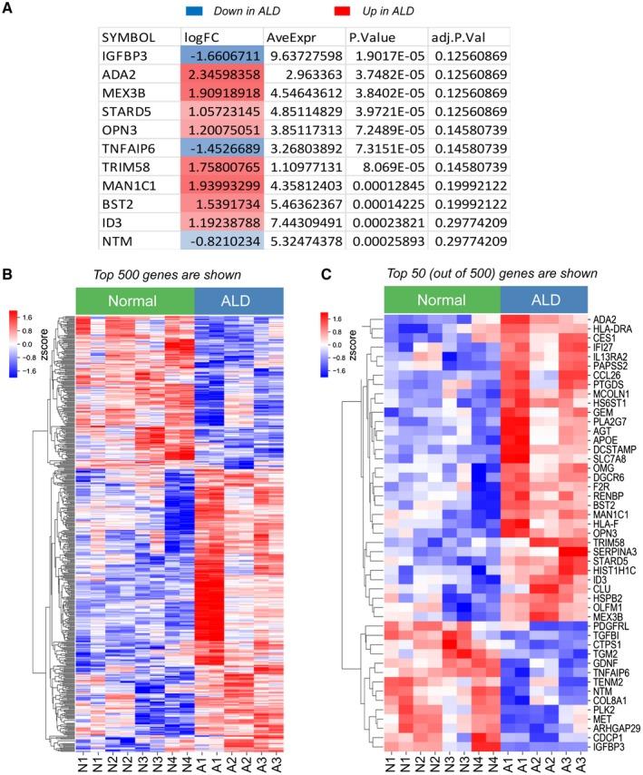https://cdn.ncbi.nlm.nih.gov/pmc/blobs/adf6/7109347/ef21a7415e52/HEP4-4-606-g002.jpg