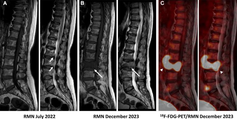 https://cdn.ncbi.nlm.nih.gov/pmc/blobs/adf7/11440879/b2717f52cef7/fnume-04-1402552-g001.jpg