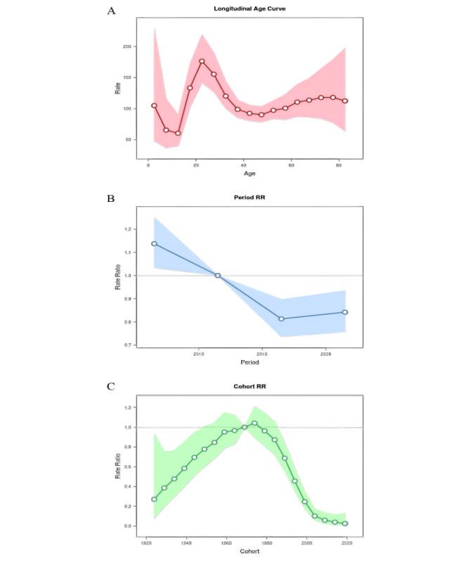 https://cdn.ncbi.nlm.nih.gov/pmc/blobs/adf8/12088607/39aa11bcd4ef/publichealth-v11-e70888-g003.jpg