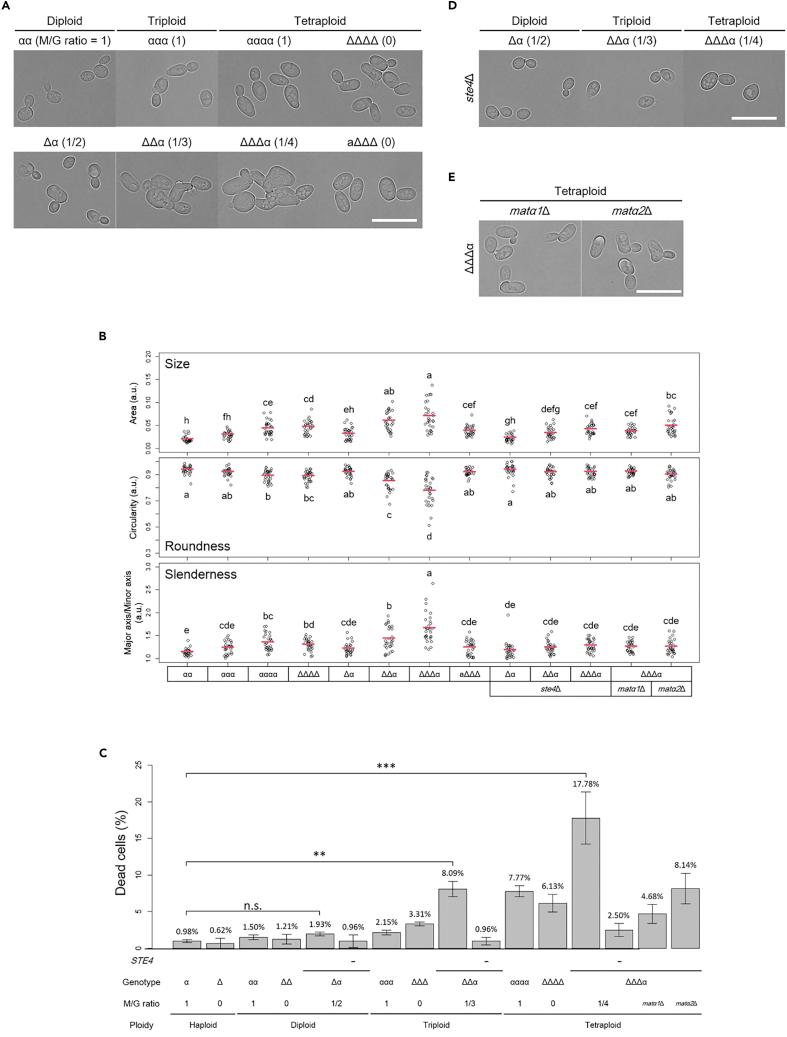 https://cdn.ncbi.nlm.nih.gov/pmc/blobs/adf9/9379577/1d9d53102cb3/gr1.jpg