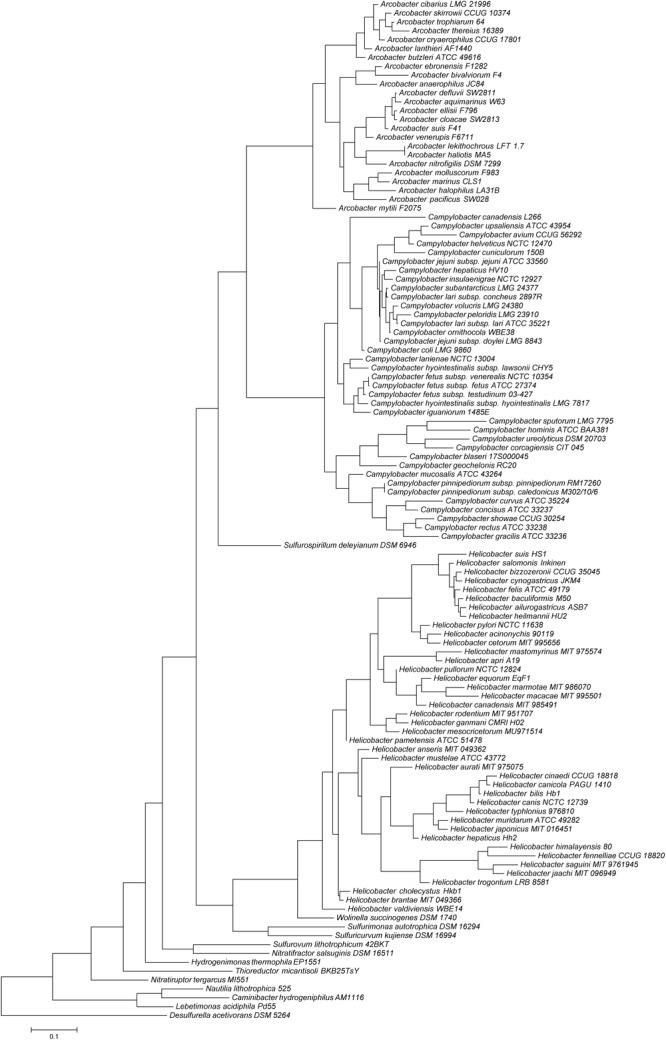 https://cdn.ncbi.nlm.nih.gov/pmc/blobs/adfa/6530492/b0a996b298f6/fmicb-10-01086-g001.jpg