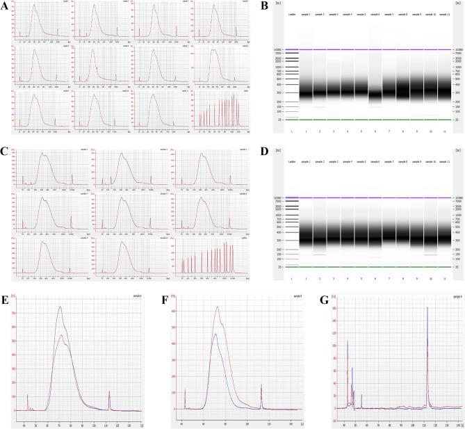 https://cdn.ncbi.nlm.nih.gov/pmc/blobs/adfb/11637099/532cfa139bde/41598_2024_63014_Fig8_HTML.jpg