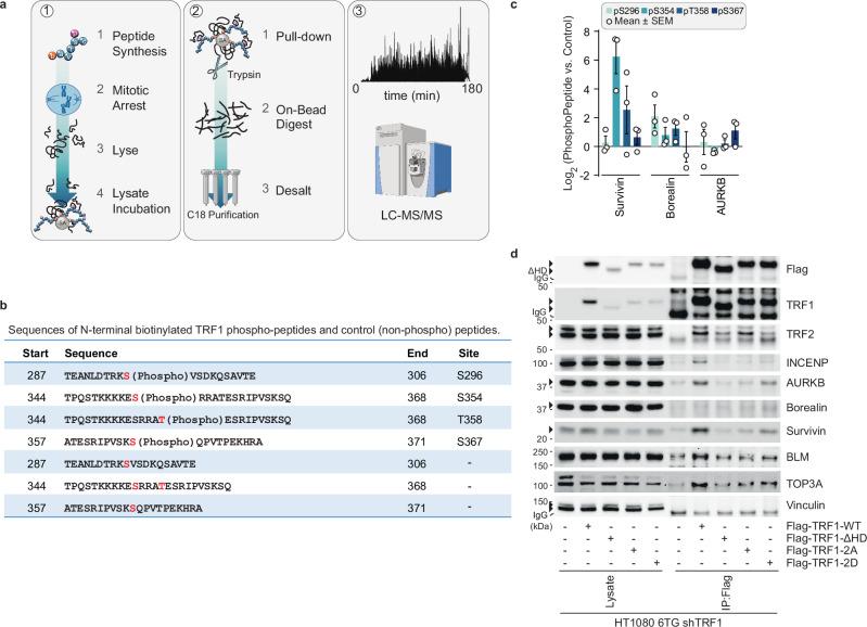 https://cdn.ncbi.nlm.nih.gov/pmc/blobs/adfb/11914695/4deb17c5b5c3/41467_2025_57456_Fig3_HTML.jpg