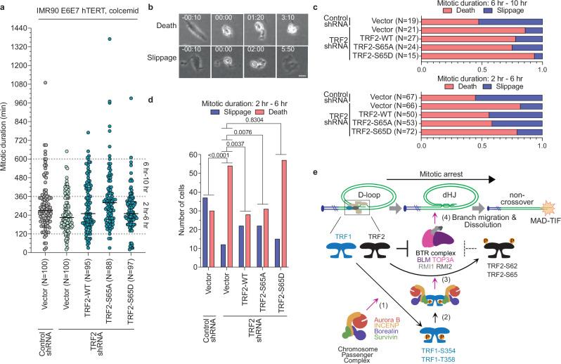 https://cdn.ncbi.nlm.nih.gov/pmc/blobs/adfb/11914695/588fccaac63d/41467_2025_57456_Fig7_HTML.jpg