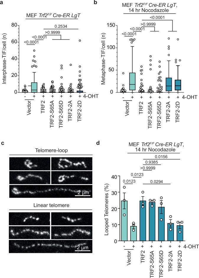 https://cdn.ncbi.nlm.nih.gov/pmc/blobs/adfb/11914695/65e7bbe1b963/41467_2025_57456_Fig5_HTML.jpg