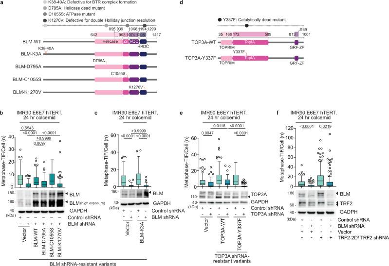 https://cdn.ncbi.nlm.nih.gov/pmc/blobs/adfb/11914695/d3be2a4c3c30/41467_2025_57456_Fig6_HTML.jpg