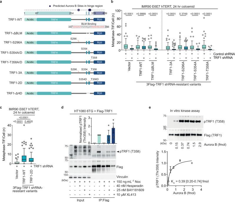 https://cdn.ncbi.nlm.nih.gov/pmc/blobs/adfb/11914695/d7511cfa3f8b/41467_2025_57456_Fig2_HTML.jpg