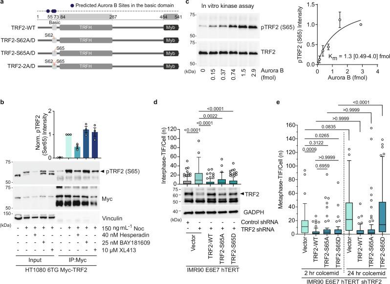 https://cdn.ncbi.nlm.nih.gov/pmc/blobs/adfb/11914695/e02118c4a70e/41467_2025_57456_Fig4_HTML.jpg