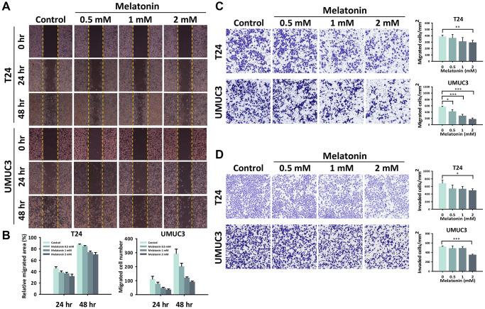 https://cdn.ncbi.nlm.nih.gov/pmc/blobs/adfd/10188331/82f41b49d227/aging-15-204673-g002.jpg
