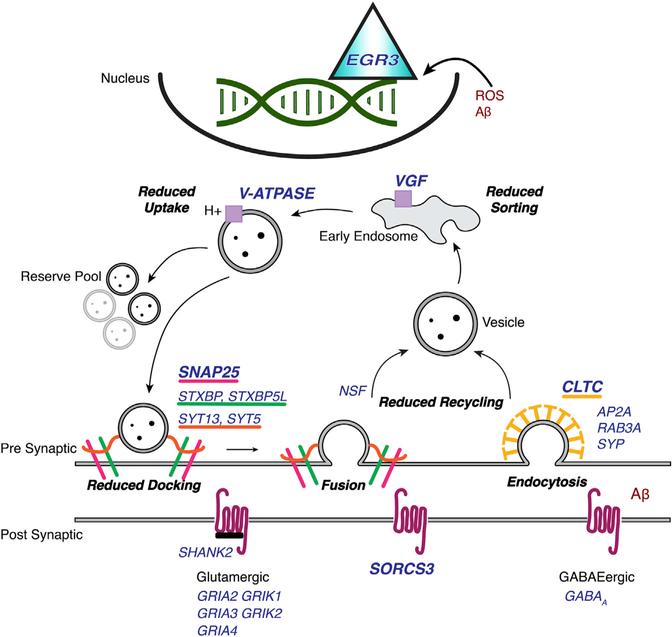 https://cdn.ncbi.nlm.nih.gov/pmc/blobs/adff/7503200/358167f68392/nihms-1585244-f0006.jpg