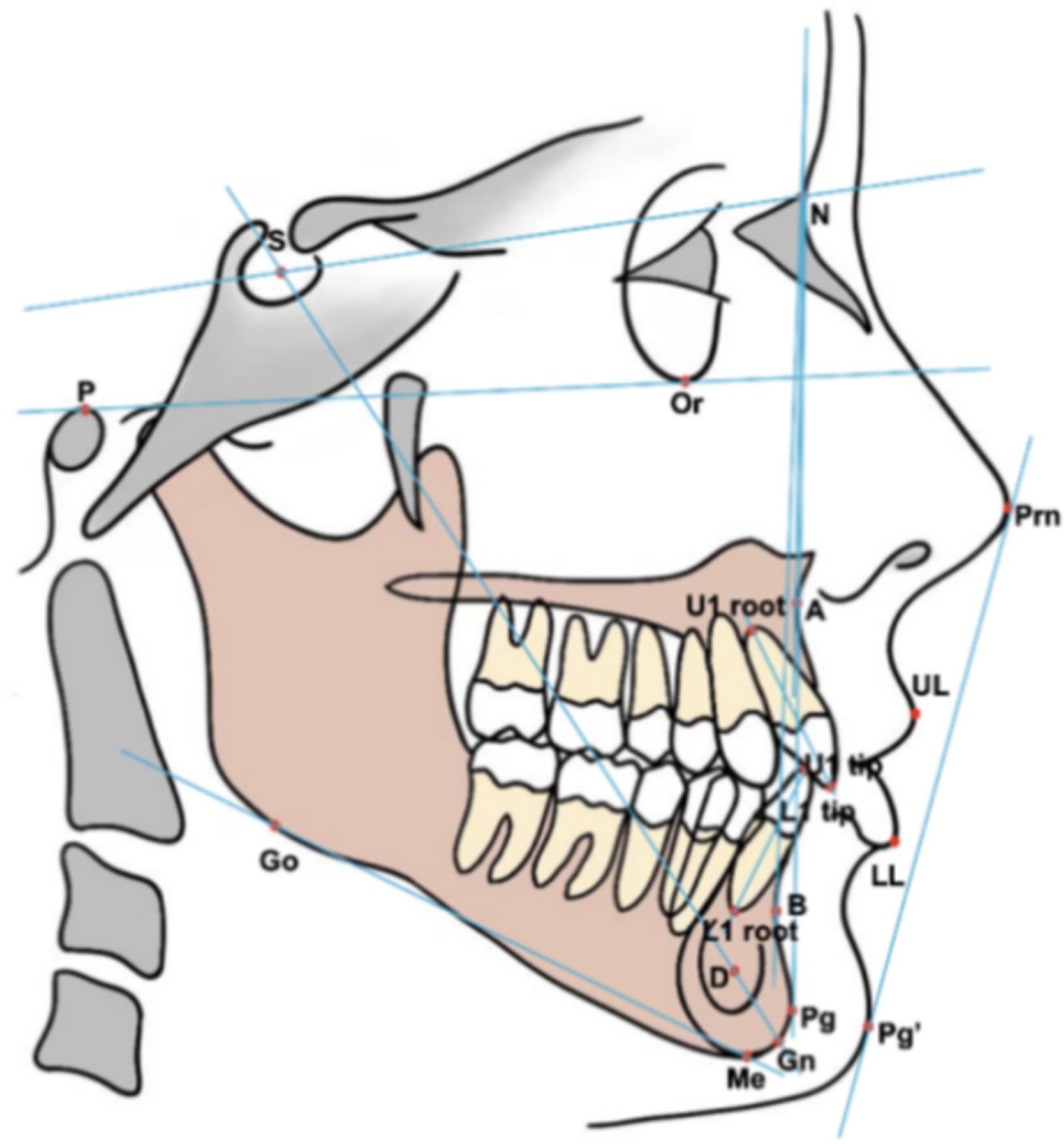 https://cdn.ncbi.nlm.nih.gov/pmc/blobs/ae00/10067288/854819c837b2/12903_2023_2881_Fig1_HTML.jpg