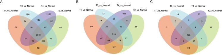 https://cdn.ncbi.nlm.nih.gov/pmc/blobs/ae00/6497041/046e7981c4fa/peerj-07-6694-g001.jpg