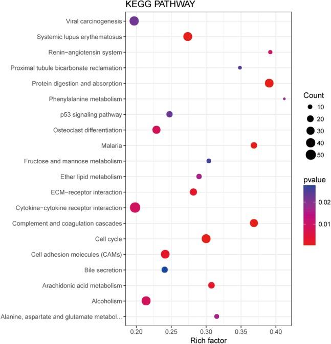 https://cdn.ncbi.nlm.nih.gov/pmc/blobs/ae00/6497041/65f388096e5b/peerj-07-6694-g004.jpg